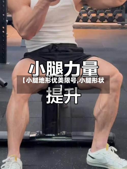 【小腿地形优美限号,小腿形状】