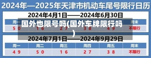 国外也限号吗(国外车牌限行吗)