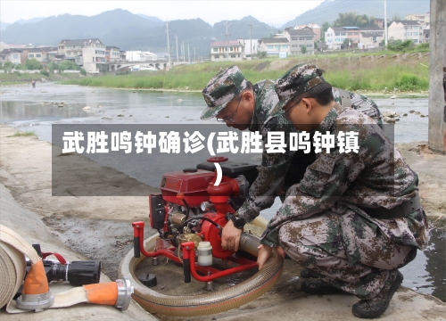 武胜鸣钟确诊(武胜县呜钟镇)