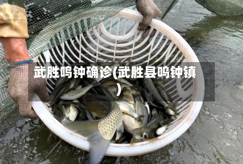 武胜鸣钟确诊(武胜县呜钟镇)-第3张图片