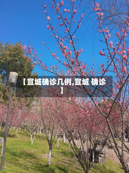 【宣城确诊几例,宣城 确诊】