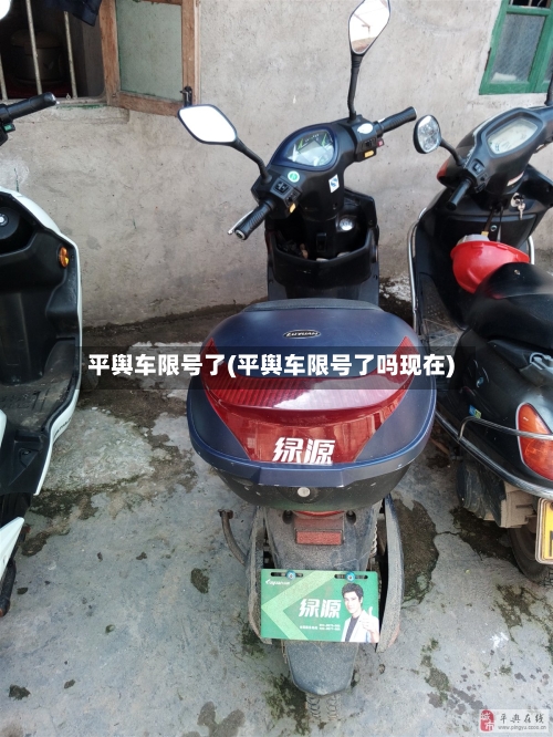 平舆车限号了(平舆车限号了吗现在)-第3张图片