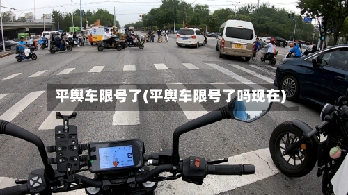 平舆车限号了(平舆车限号了吗现在)
