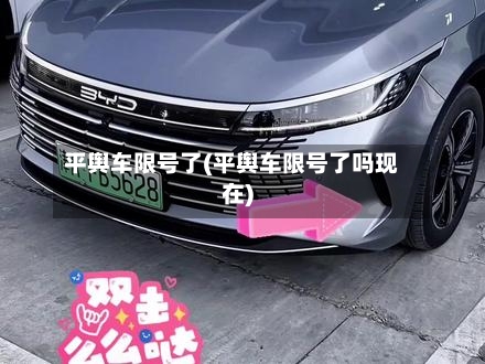 平舆车限号了(平舆车限号了吗现在)-第2张图片