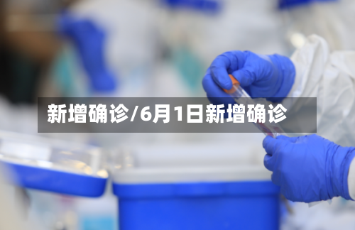 新增确诊/6月1日新增确诊-第2张图片