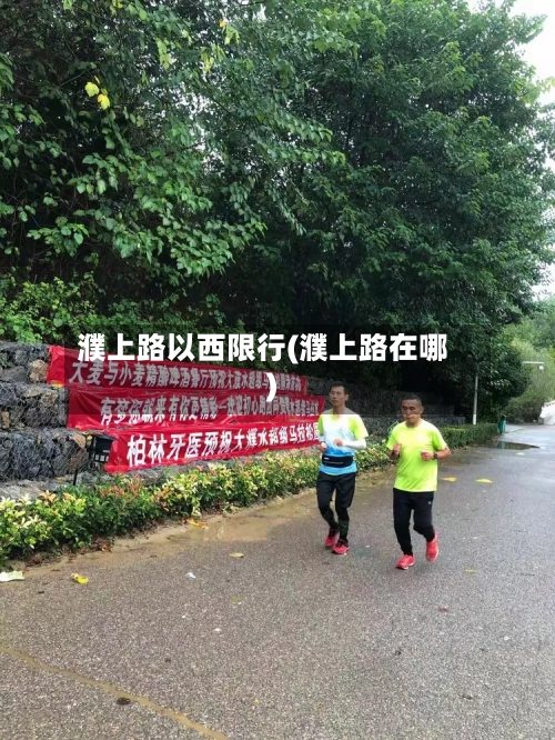 濮上路以西限行(濮上路在哪)