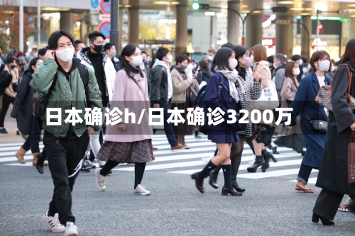 日本确诊h/日本确诊3200万-第3张图片