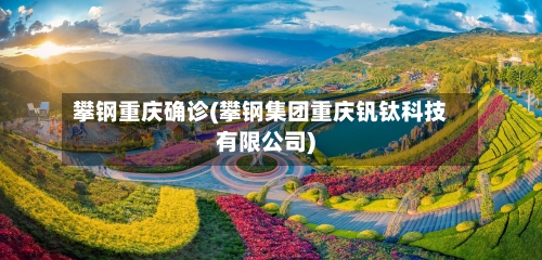 攀钢重庆确诊(攀钢集团重庆钒钛科技有限公司)
