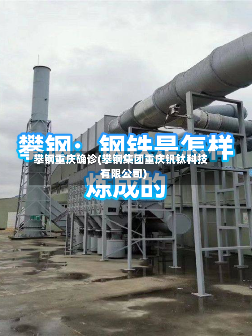 攀钢重庆确诊(攀钢集团重庆钒钛科技有限公司)-第3张图片