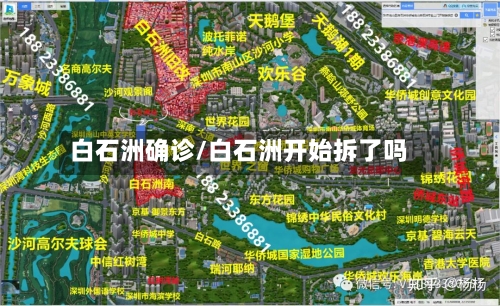 白石洲确诊/白石洲开始拆了吗
