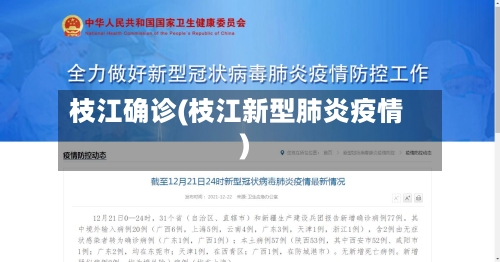 枝江确诊(枝江新型肺炎疫情)