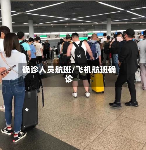 确诊人员航班/飞机航班确诊-第3张图片