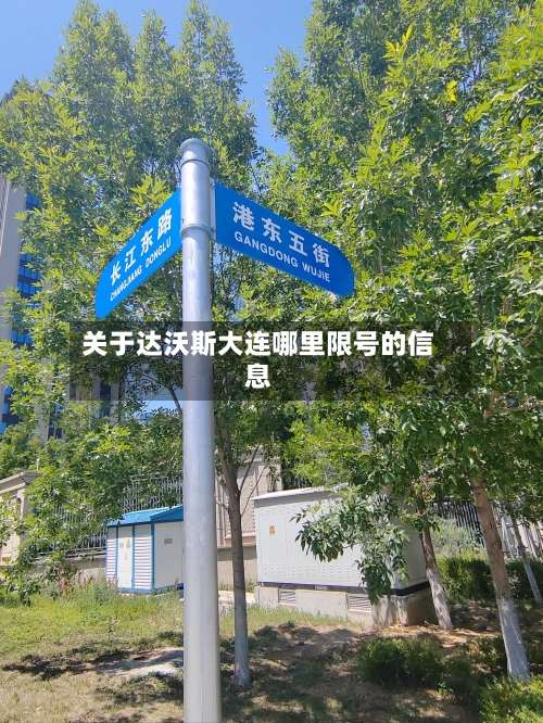 关于达沃斯大连哪里限号的信息