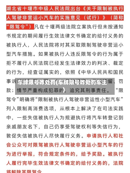 车牌限号咋处罚(车牌限号咋处罚车主)-第2张图片