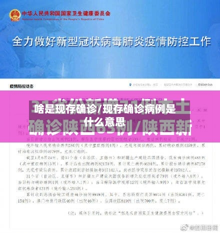 啥是现存确诊/现存确诊病例是什么意思-第2张图片