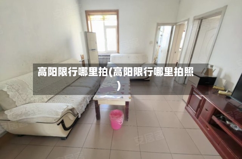 高阳限行哪里拍(高阳限行哪里拍照)-第2张图片