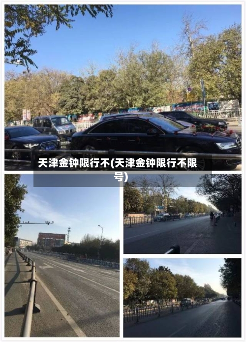 天津金钟限行不(天津金钟限行不限号)-第3张图片