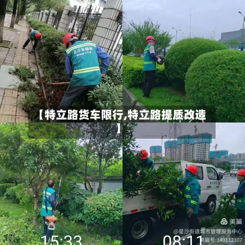 【特立路货车限行,特立路提质改造】