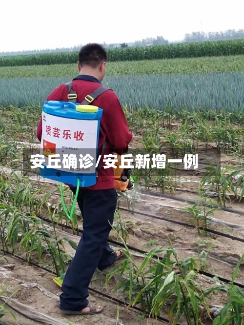 安丘确诊/安丘新增一例