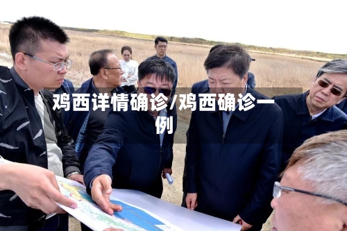 鸡西详情确诊/鸡西确诊一例