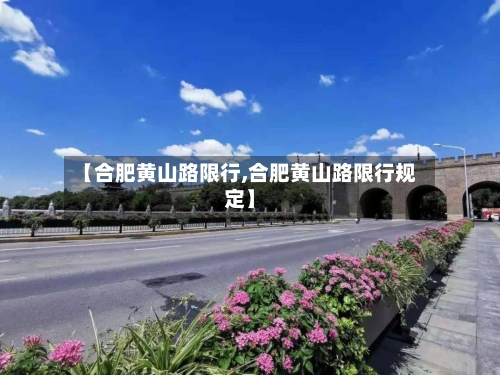 【合肥黄山路限行,合肥黄山路限行规定】-第2张图片