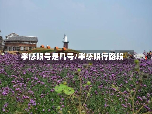 孝感限号是几号/孝感限行路段