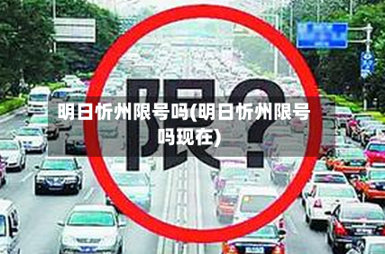 明日忻州限号吗(明日忻州限号吗现在)-第2张图片