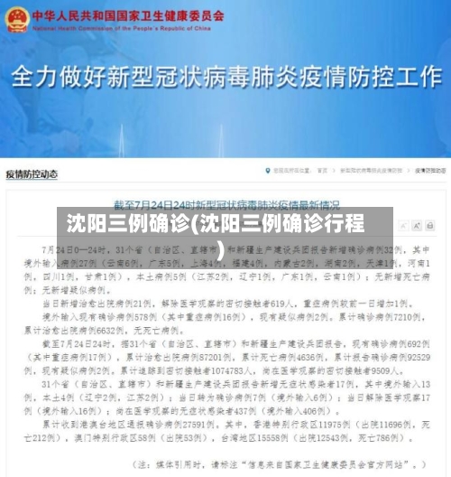 沈阳三例确诊(沈阳三例确诊行程)