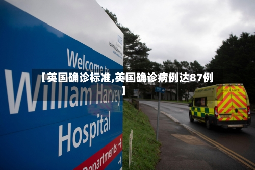 【英国确诊标准,英国确诊病例达87例】-第3张图片