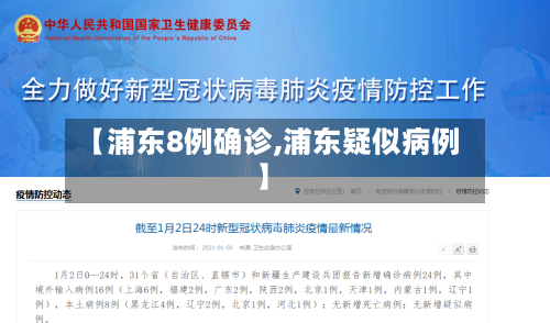 【浦东8例确诊,浦东疑似病例】-第2张图片