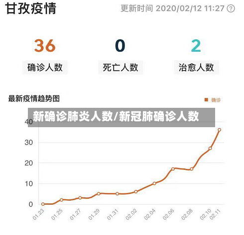 新确诊肺炎人数/新冠肺确诊人数-第3张图片