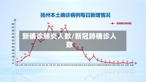 新确诊肺炎人数/新冠肺确诊人数-第2张图片
