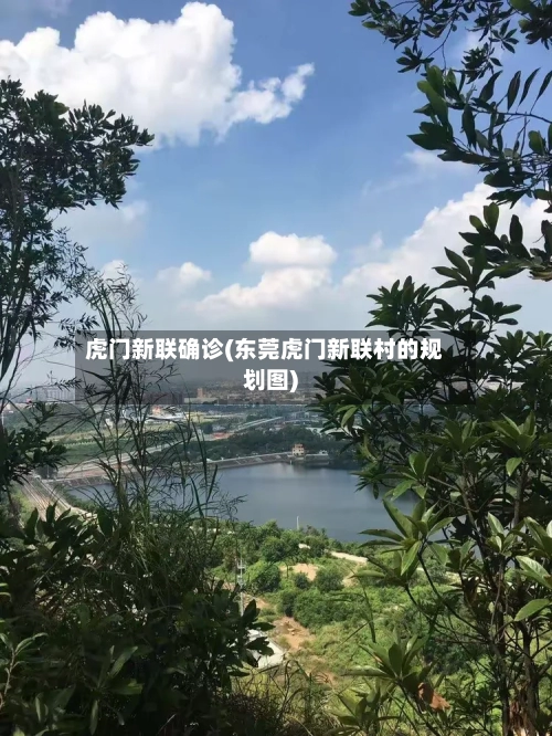 虎门新联确诊(东莞虎门新联村的规划图)
