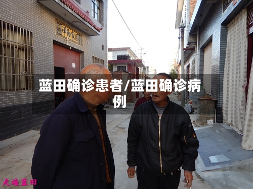 蓝田确诊患者/蓝田确诊病例