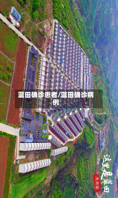 蓝田确诊患者/蓝田确诊病例-第2张图片