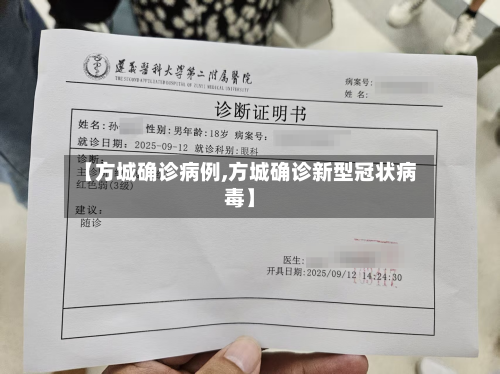 【方城确诊病例,方城确诊新型冠状病毒】-第2张图片