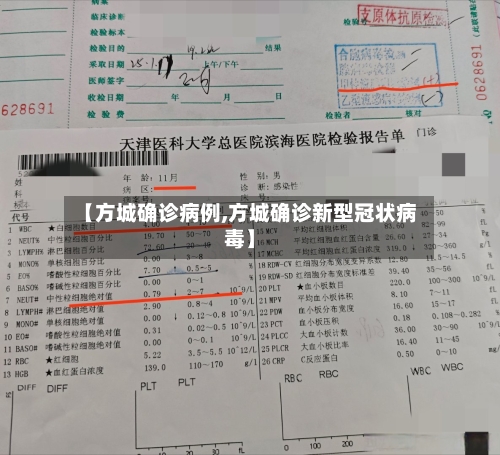 【方城确诊病例,方城确诊新型冠状病毒】-第3张图片
