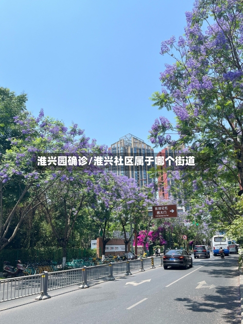 淮兴园确诊/淮兴社区属于哪个街道