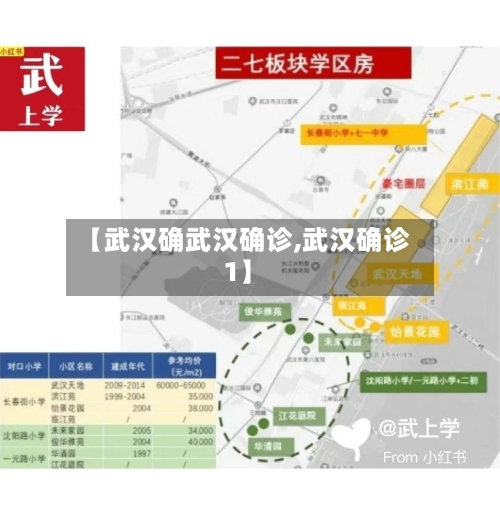 【武汉确武汉确诊,武汉确诊1】-第3张图片