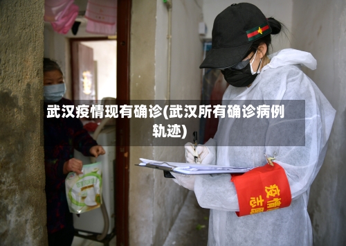 武汉疫情现有确诊(武汉所有确诊病例轨迹)-第2张图片