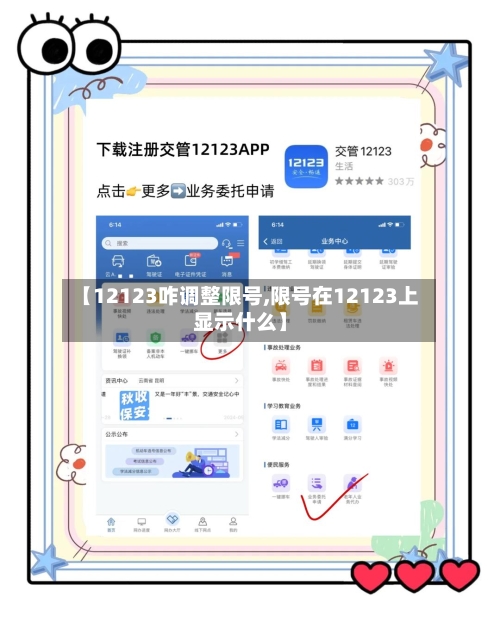 【12123咋调整限号,限号在12123上显示什么】