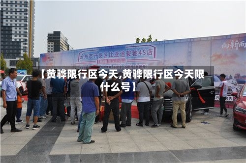 【黄骅限行区今天,黄骅限行区今天限什么号】