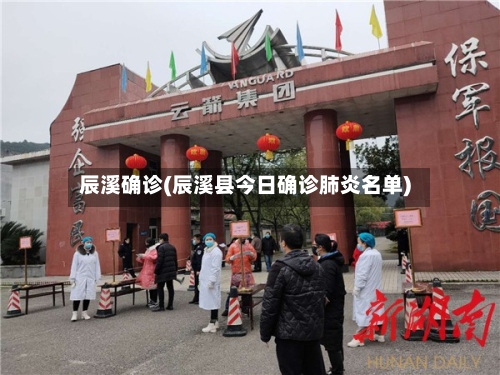 辰溪确诊(辰溪县今日确诊肺炎名单)-第2张图片