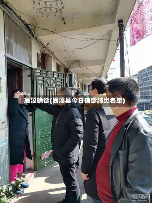 辰溪确诊(辰溪县今日确诊肺炎名单)-第3张图片
