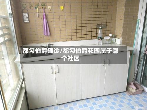 都匀伯爵确诊/都匀伯爵花园属于哪个社区