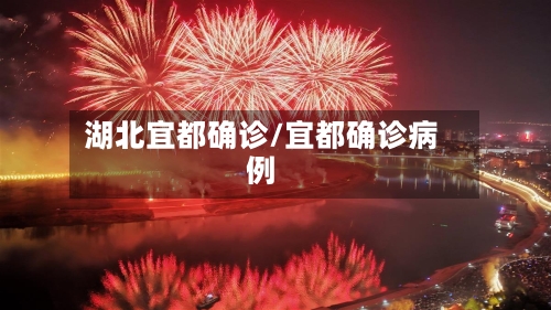 湖北宜都确诊/宜都确诊病例