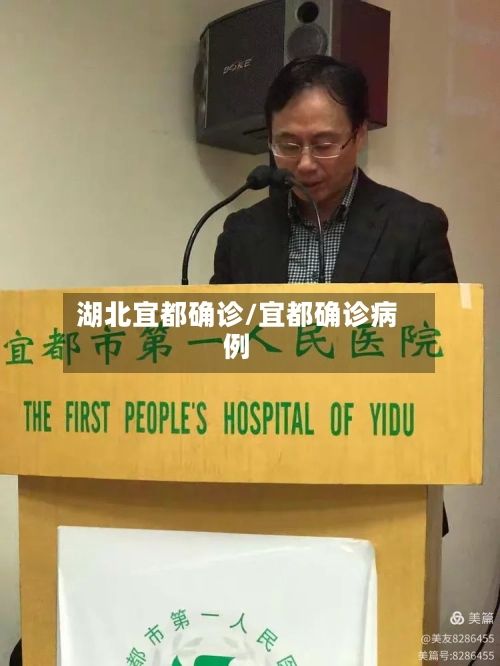 湖北宜都确诊/宜都确诊病例-第2张图片