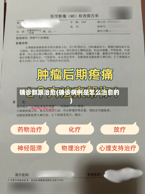 确诊数跟治愈(确诊病例是怎么治愈的)-第2张图片