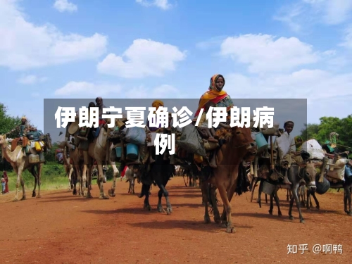 伊朗宁夏确诊/伊朗病例-第2张图片
