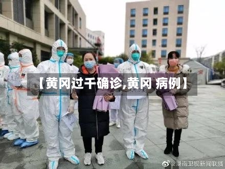 【黄冈过千确诊,黄冈 病例】-第2张图片